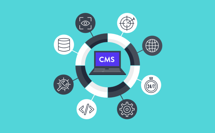  CMS Implementation